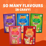 PURINA Friskies ® Duck Chunks in Gravy Wet Cat Food Pouch 85 gm
