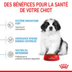 Royal Canin Giant Puppy  - Dry food for giant dogs. Adult weight from 45 KG and over - from 2 to 8 months old