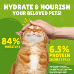 PURINA Friskies ® Chicken Chunks in Gravy Wet Cat Food Pouch 85 gm