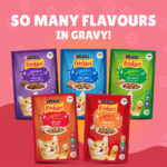 PURINA Friskies ® Junior Chicken in Gravy Wet Cat Food Pouch 85 gm