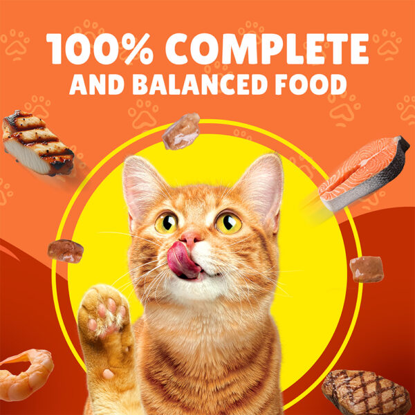 PURINA Friskies ® Duck Chunks in Gravy Wet Cat Food Pouch 85 gm