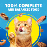 PURINA Friskies ® Salmon Chunks in Gravy Wet Cat Food Pouch 85 gm