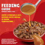PURINA Friskies ® TURKEY Chunks in Gravy Wet Cat Food Pouch 85 gm