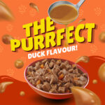 PURINA Friskies ® Duck Chunks in Gravy Wet Cat Food Pouch 85 gm