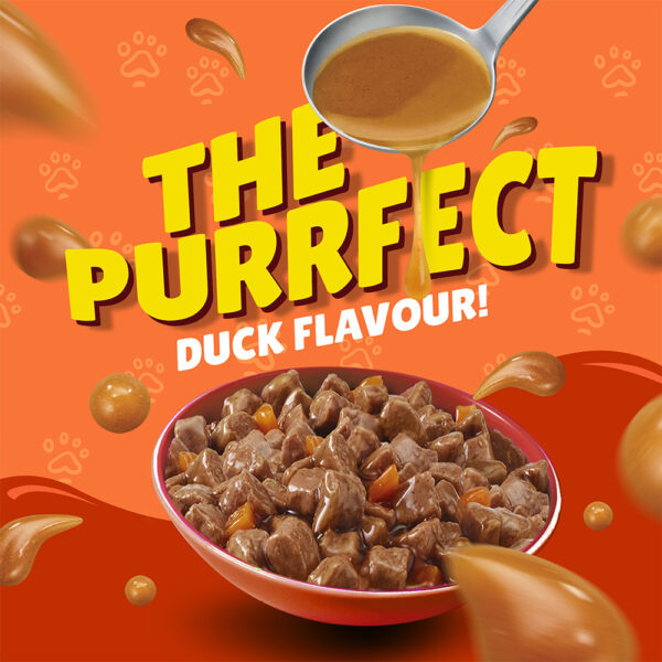 PURINA Friskies ® Duck Chunks in Gravy Wet Cat Food Pouch 85 gm