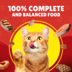 PURINA Friskies ® TURKEY Chunks in Gravy Wet Cat Food Pouch 85 gm