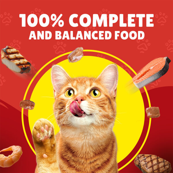 PURINA Friskies ® TURKEY Chunks in Gravy Wet Cat Food Pouch 85 gm