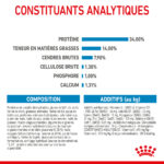 Royal Canin Giant Puppy  - Dry food for giant dogs. Adult weight from 45 KG and over - from 2 to 8 months old