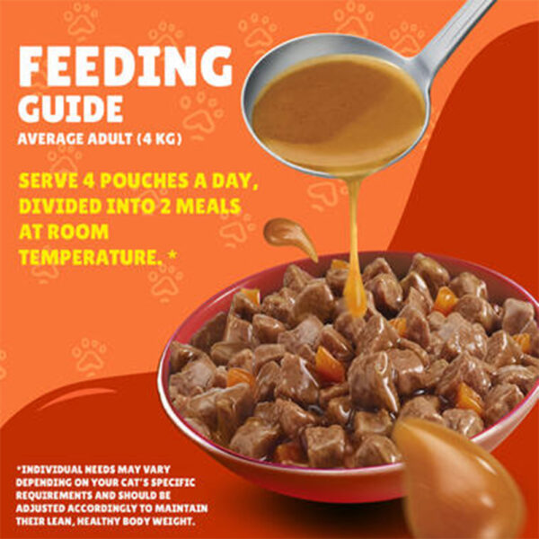 PURINA Friskies ® Duck Chunks in Gravy Wet Cat Food Pouch 85 gm