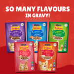 PURINA Friskies ® TURKEY Chunks in Gravy Wet Cat Food Pouch 85 gm