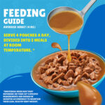 PURINA Friskies ® Salmon Chunks in Gravy Wet Cat Food Pouch 85 gm