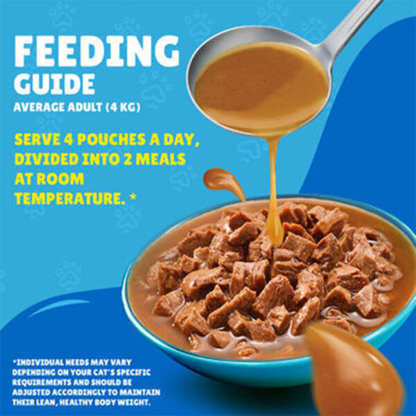 PURINA Friskies ® Salmon Chunks in Gravy Wet Cat Food Pouch 85 gm