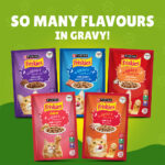 PURINA Friskies ® Chicken Chunks in Gravy Wet Cat Food Pouch 85 gm