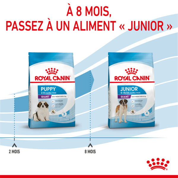 Royal Canin Giant Puppy  - Dry food for giant dogs. Adult weight from 45 KG and over - from 2 to 8 months old