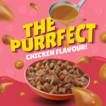 PURINA Friskies ® Junior Chicken in Gravy Wet Cat Food Pouch 85 gm