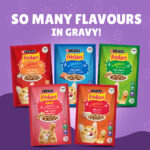 PURINA Friskies ® Beef Chunks in Gravy Wet Cat Food Pouch 85 gm