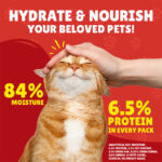 PURINA Friskies ® TURKEY Chunks in Gravy Wet Cat Food Pouch 85 gm