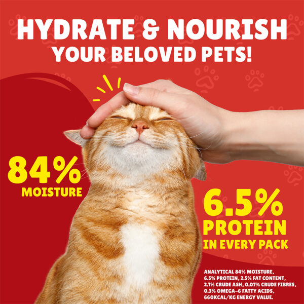 PURINA Friskies ® TURKEY Chunks in Gravy Wet Cat Food Pouch 85 gm