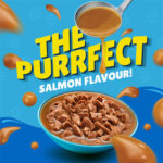 PURINA Friskies ® Salmon Chunks in Gravy Wet Cat Food Pouch 85 gm