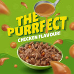 PURINA Friskies ® Chicken Chunks in Gravy Wet Cat Food Pouch 85 gm
