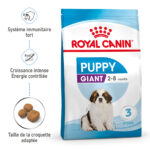 Royal Canin Giant Puppy  - Dry food for giant dogs. Adult weight from 45 KG and over - from 2 to 8 months old