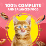 PURINA Friskies ® Junior Chicken in Gravy Wet Cat Food Pouch 85 gm
