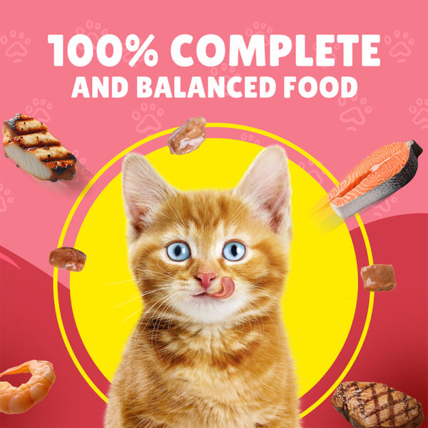 PURINA Friskies ® Junior Chicken in Gravy Wet Cat Food Pouch 85 gm