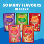 PURINA Friskies ® Salmon Chunks in Gravy Wet Cat Food Pouch 85 gm
