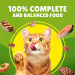 PURINA Friskies ® Chicken Chunks in Gravy Wet Cat Food Pouch 85 gm