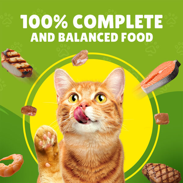 PURINA Friskies ® Chicken Chunks in Gravy Wet Cat Food Pouch 85 gm