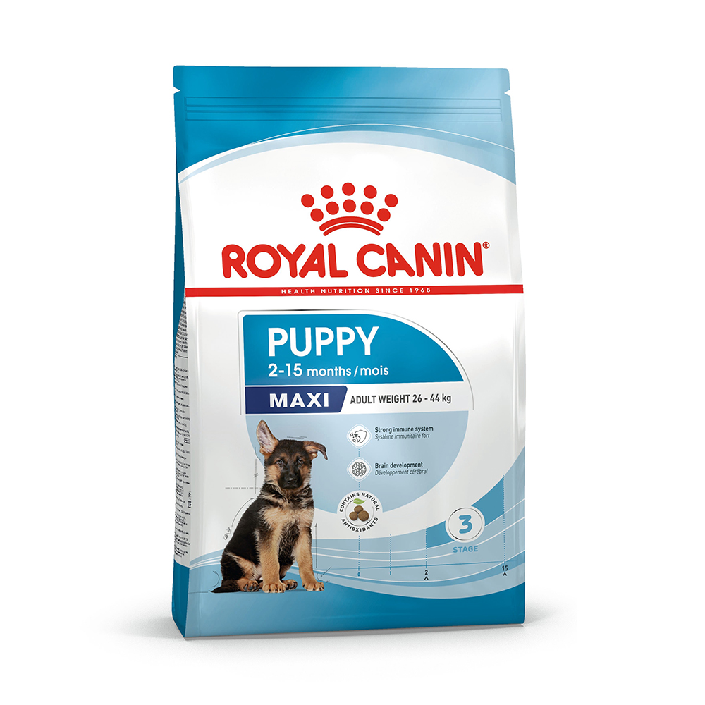 Royal Canin Maxi Puppy - Dry food for large dogs - Adult weight from 26 to 44 KG. From 2 to 15 months
