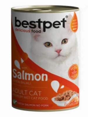 Bestpet Adult Cat with salmon Wet Food Cans 400 g